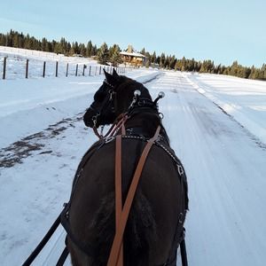 Meet your Posher, Melany